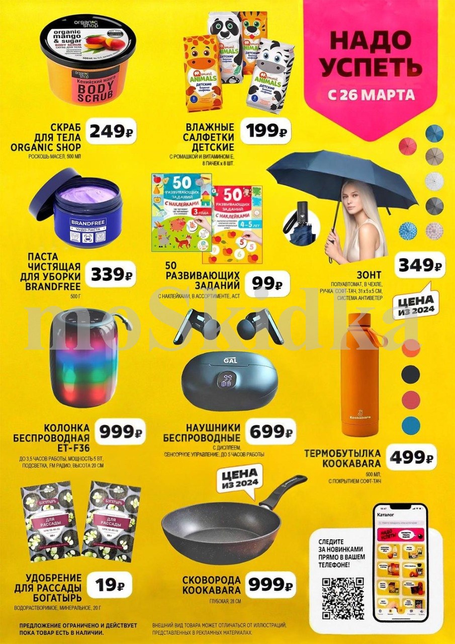  Специальные цены в каталоге Чижик на зонт, наушники, колонку.